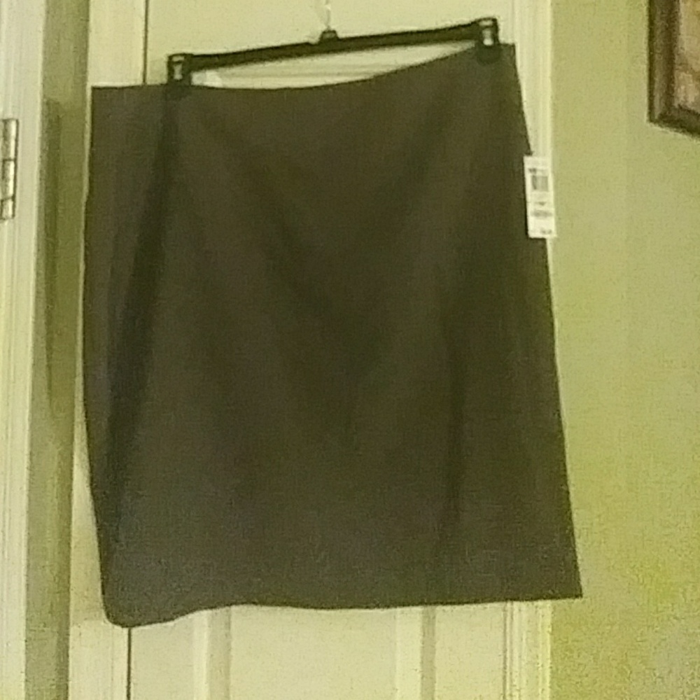 Fabulous NWT Gray Skirt. Perfect for any occasion!